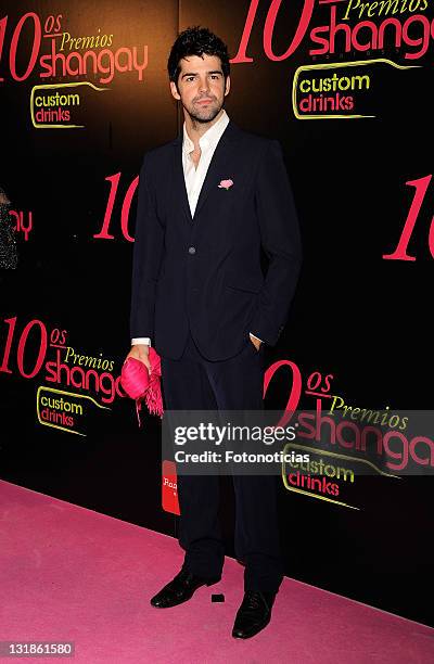 Miguel Angel Munoz attends the 'Shangay Awards' 2010 at the Coliseum Theatre on November 30, 2010 in Madrid, Spain.