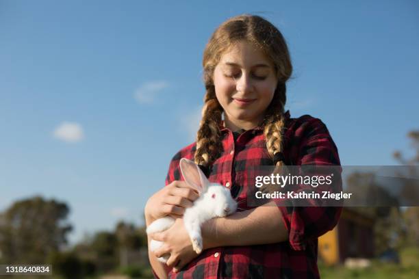 young girl holding a little white rabbit, looking down - white rabbit ストックフォトと画像