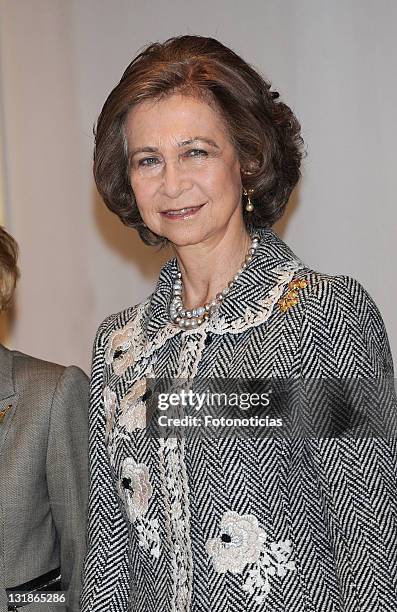 Queen Sofia of Spain attends 'Museo Reina Sofia' 20th anniversary event on November 23, 2010 in Madrid, Spain.