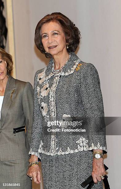 Queen Sofia of Spain attends 'Museo Reina Sofia' 20th anniversary event on November 23, 2010 in Madrid, Spain.