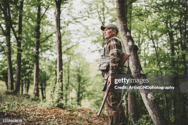 jager in het bos - jagende dieren stockfoto's en -beelden