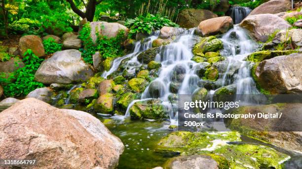 scenic view of waterfall in forest,dubuque,iowa,united states,usa - dubuque fotografías e imágenes de stock