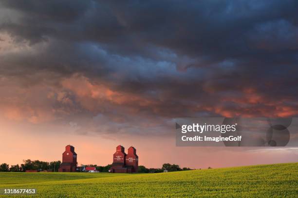canadian prairie town with three grain elevators in storm - moody sky stock pictures, royalty-free photos & images