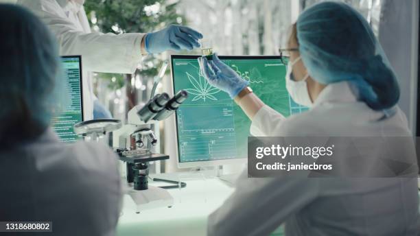 medical marijuana research. preparing pharmaceutical cbd oil. passing bottle with oil sample - hemp stock pictures, royalty-free photos & images