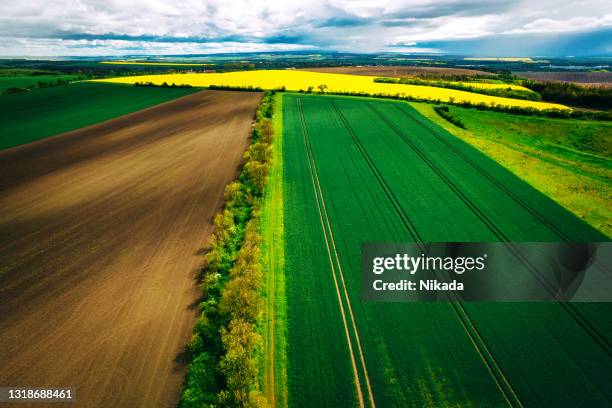 Praire Field Spring 1,400 Prairie Aerial Stock Photos, High-Res Pictures, and Images ...