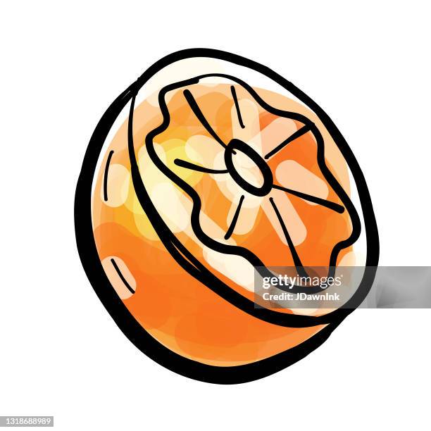 blood orange half fruit isolated on white - blood orange isolated stock illustrations