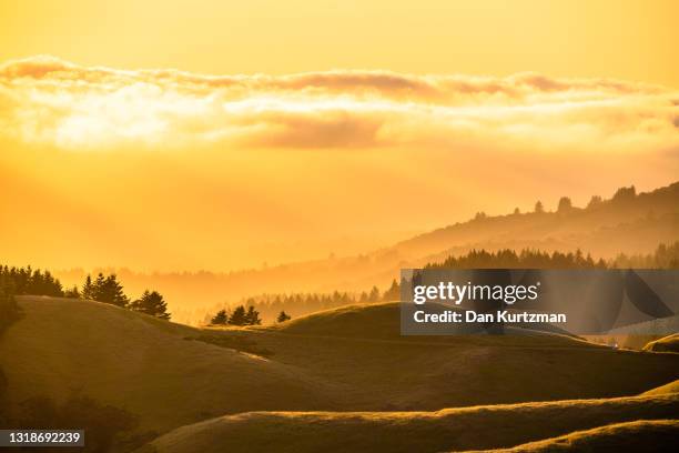 mt. tamalpais and fog in golden light - goldene stunde stock-fotos und bilder