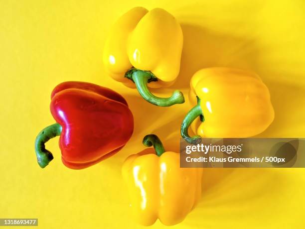 close-up of yellow bell peppers on yellow background,karlsruhe,germany - gelbe paprika stock-fotos und bilder