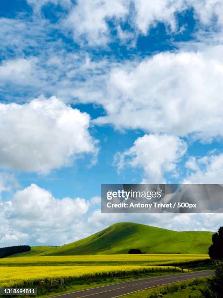 Timau Timau Photos and Premium High Res Pictures - Getty Images
