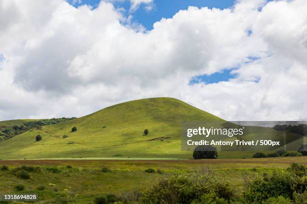Timau Timau Photos and Premium High Res Pictures - Getty Images