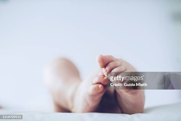 baby feet. - beginnings stock pictures, royalty-free photos & images