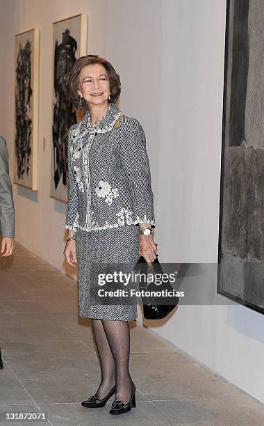 Queen Sofia of Spain attends 'Museo Reina Sofia' 20th anniversary event on November 23, 2010 in Madrid, Spain.