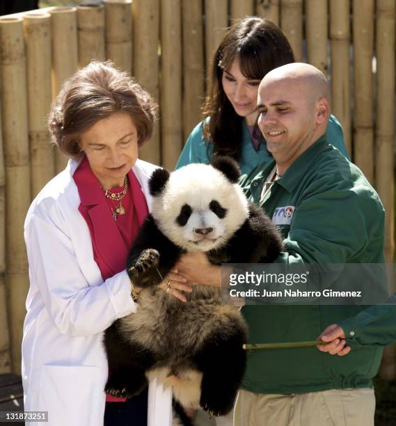 Queen Sofia of Spain visits Panda Bears at the Madrid Zoo Aquarium on March 29, 2011 in Madrid, Spain.