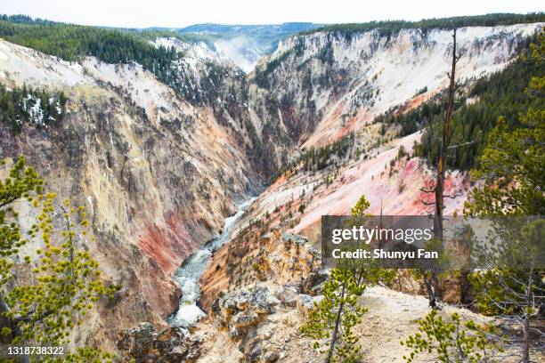 snowy grand canyon of yellowstone - yellowstone river stock pictures, royalty-free photos & images