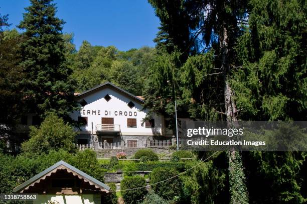 Crodo 32 Crodo Stock Photos, High-Res Pictures, and Images - Getty Images