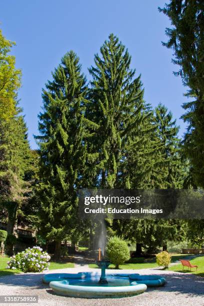 Crodo 32 Crodo Stock Photos, High-Res Pictures, and Images - Getty Images