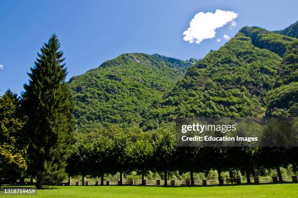 Crodo 32 Crodo Stock Photos, High-Res Pictures, and Images - Getty Images