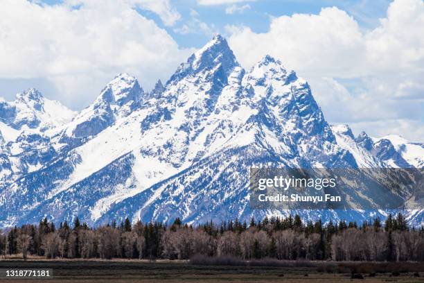 grote teton, wyoming - moran stockfoto's en -beelden