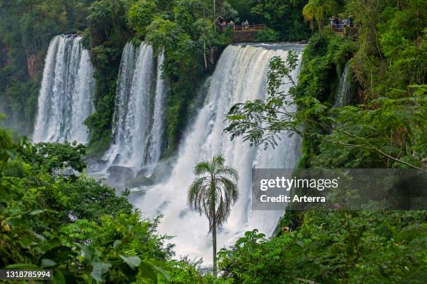 Iguazú Falls / Iguaçu Falls, waterfalls of the Iguazu River on the border of the Argentine province of Misiones and the Brazilian state of Paraná.