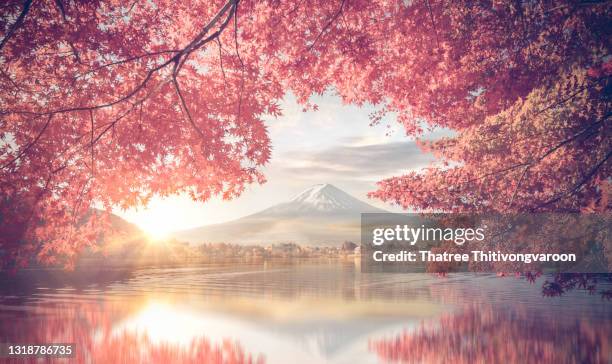 colorful autumn season and mountain fuji with morning fog and red leaves at lake kawaguchiko is one of the best places in japan - cherry blossom in full bloom in tokyo 個照片及圖片檔