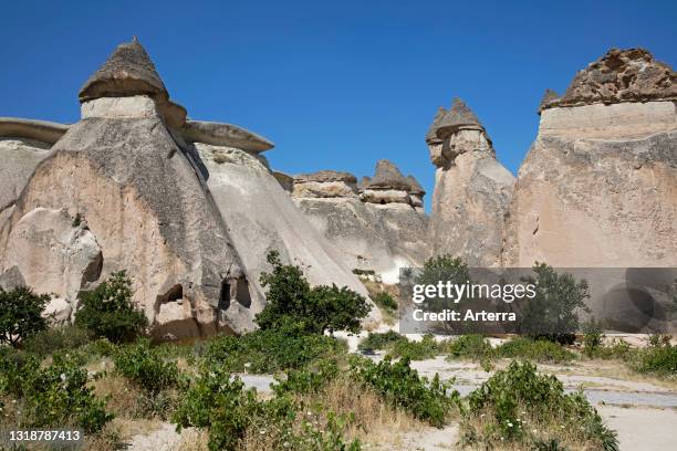 Fairy chimneys / hoodoos in Göreme National Park, Cappadocia, Nevşehir Province in Central Anatolia, Turkey.