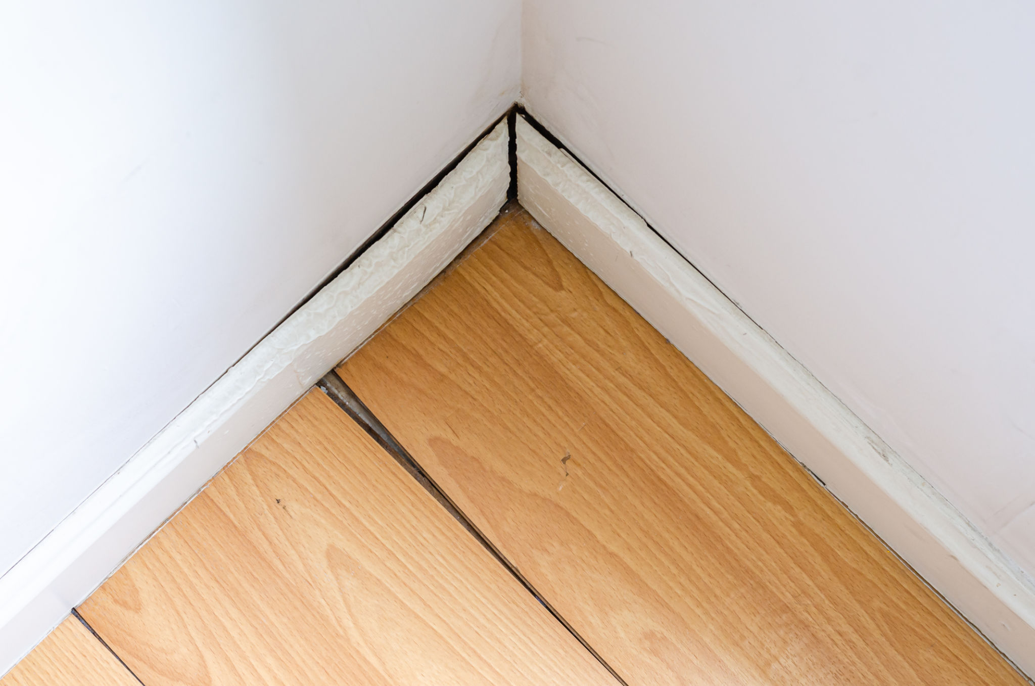 humid climate hardwood floors