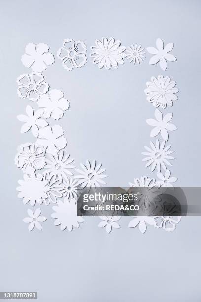 Creative layout variety of white paper flowers as frame over gray background. Flat lay. Copy space.