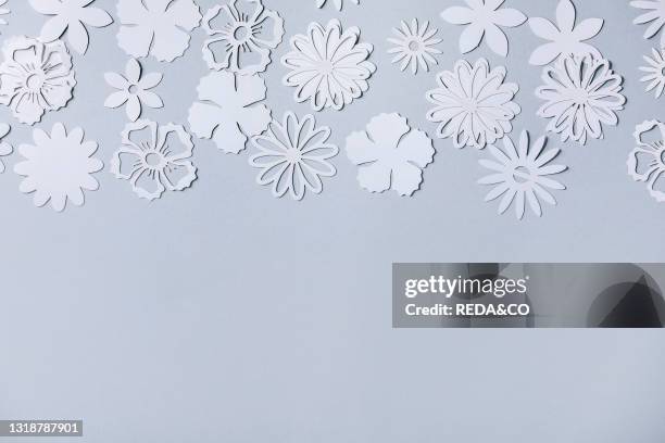 Creative layout with variety of white paper flowers over gray background. Flat lay. Copy space.