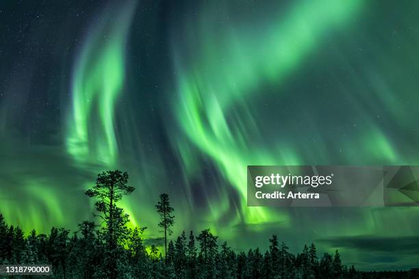 Northern Lights / Aurora borealis, weather phenomenon showing natural light display over Jokkmokk in winter, Norrbotten County, Lapland, Sweden.