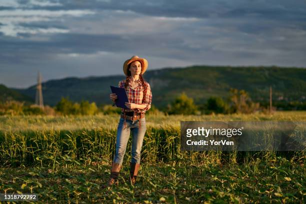 porträt einer bäuerin, die mitten auf dem weizenfeld steht - cereal plant stock-fotos und bilder
