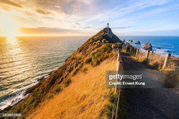 tokata / faro de punto nugget, los catlins, amanecer - south island new zealand fotografías e imágenes de stock