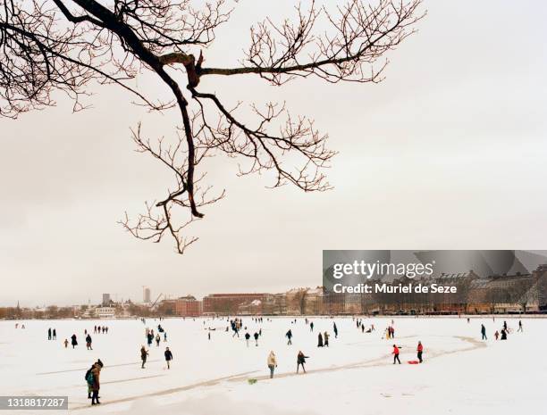 frozen lake, copenhagen - copenhagen winter stock pictures, royalty-free photos & images