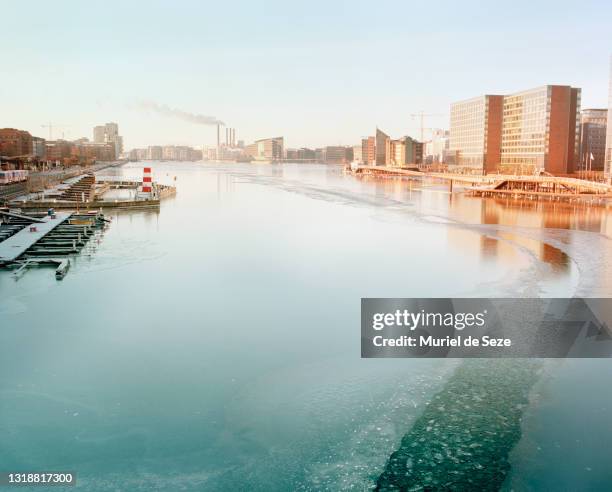 copenhagen harbor, frozen - waterfront bildbanksfoton och bilder