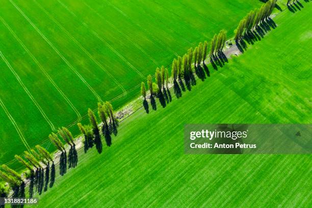 14,794 Road Spring Top View Stock Photos, High-Res Pictures, and Images ...