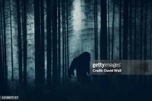 a dark scary concept. of a mysterious bigfoot figure, walking through a forest. silhouetted against trees in a forest. with a grunge, textured edit. - monstre photos et images de collection