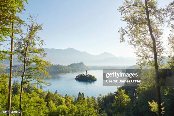 Lake Bled on a sunny day, Slovenia