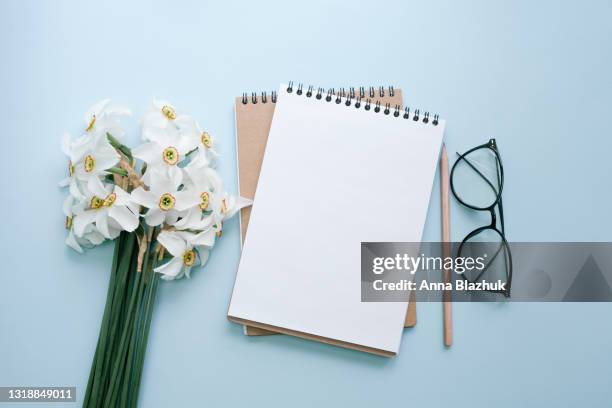 bunch of spring white daffodil flowers, note pad with blank white paper, eyeglasses and pencil over blue background. greeting card for spring holidays, mother's day. - pencil skirt beautiful bildbanksfoton och bilder