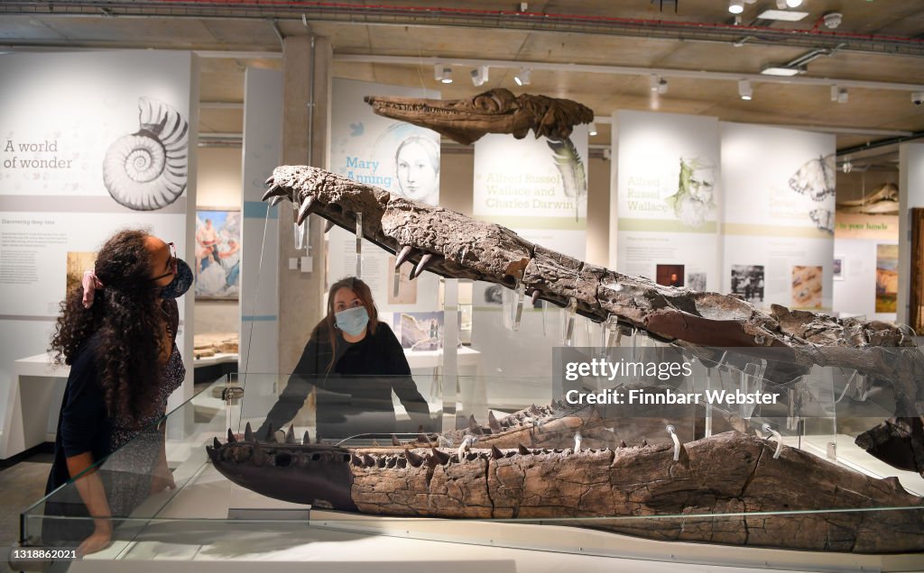 Dorset Museum Set To Reopen After £16m Transformation