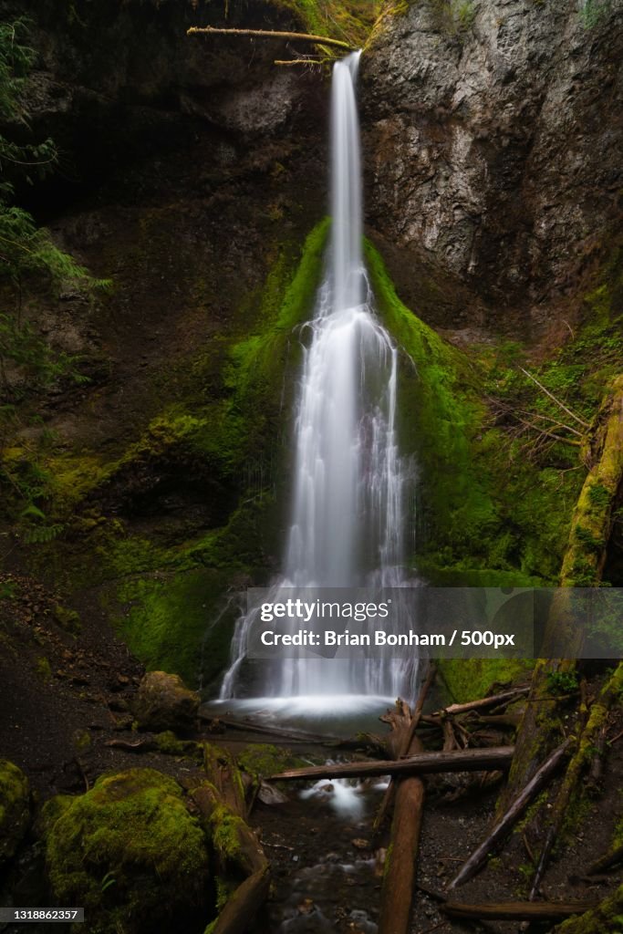 Scenic view of waterfall in forest,Marymere Falls,Washington,United States,USA