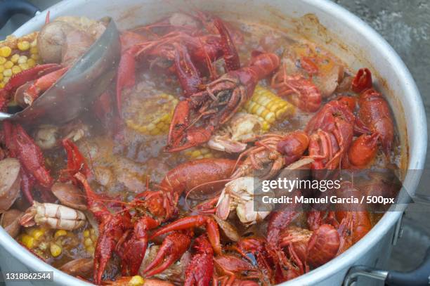 high angle view of seafood in container,sparks,nevada,united states,usa - bollito foto e immagini stock