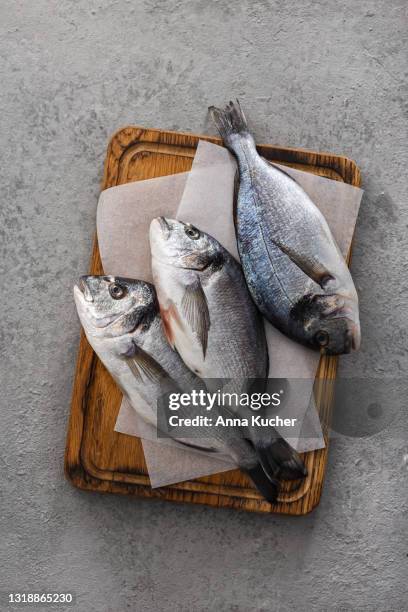 pescado crudo dorada o besugo en cuuting tabla de la vista superior - captura de peces fotografías e imágenes de stock