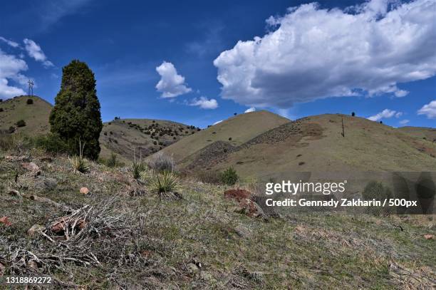 scenic view of landscape against sky,lakewood,colorado,united states,usa - lakewood colorado stock-fotos und bilder