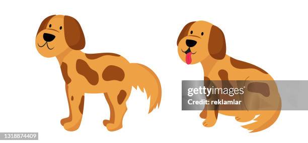 cartoon dog -  vector illustration isolated - sticking out tongue stock illustrations