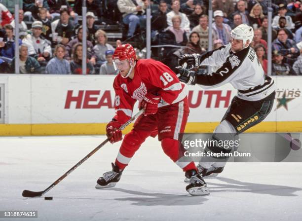 Kirk Maltby, Left Wing for the Detroit Red Wings and Derian Hatcher, Captain and Defenseman for the Dallas Stars challenge for the puck during their...
