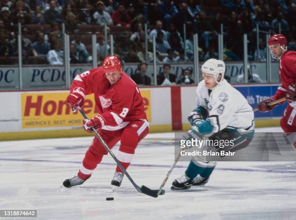 Igor Larionov, Center for the Detroit Red Wings and Paul Kariya, Captain and Left Wing for the Mighty Ducks of Anaheim challenge for the puck during...