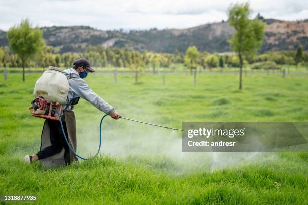 landwirt beschmiert das gras auf einem viehzuchtbetrieb - fumigation stock-fotos und bilder