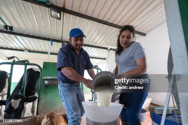 agriculteurs travaillant dans une ferme laitière et versant du lait dans une boîte - bidon de lait photos et images de collection