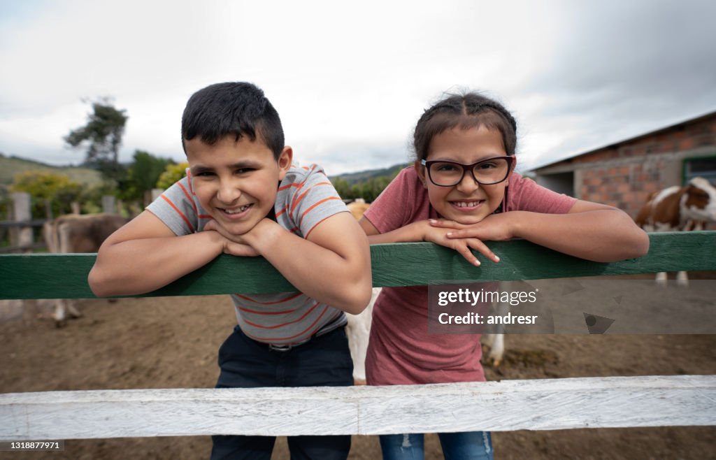 Happy kids looking after the cows at a farm in a pen