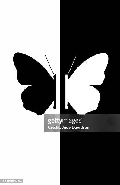 butterfly illustration in black and white with room for text - butterfly effect stockfoto's en -beelden