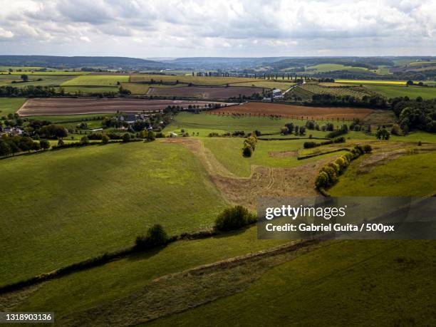 scenic view of agricultural field against sky,limburg,netherlands - limburg stock pictures, royalty-free photos & images